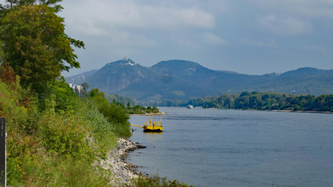 Rheinlandschaft